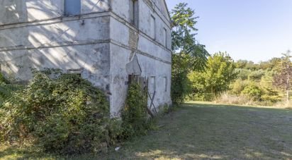 Townhouse 0 rooms of 180 m² in Castelfidardo (60022)