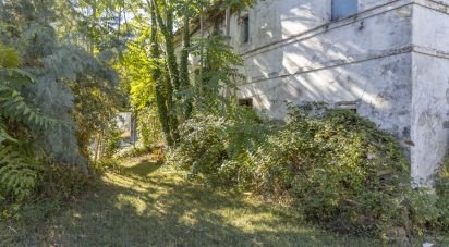 Townhouse 0 rooms of 180 m² in Castelfidardo (60022)