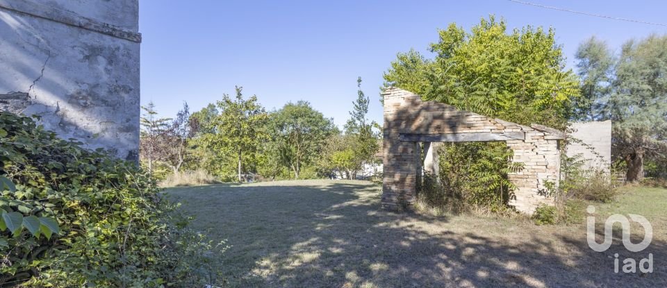 Townhouse 0 rooms of 180 m² in Castelfidardo (60022)