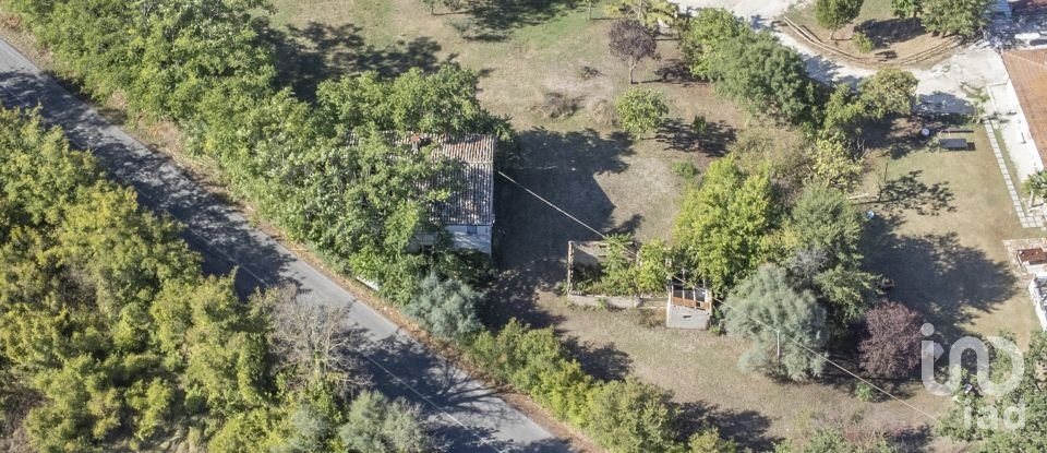 Townhouse 0 rooms of 180 m² in Castelfidardo (60022)