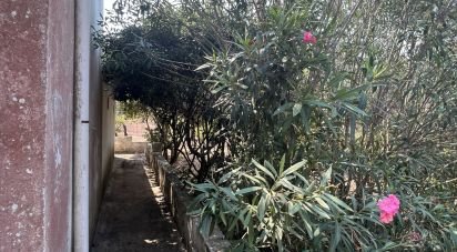 Casale 0 locali di 50 m² in Francavilla Fontana (72021)