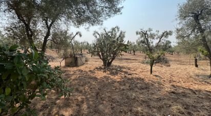 Casale 0 locali di 50 m² in Francavilla Fontana (72021)