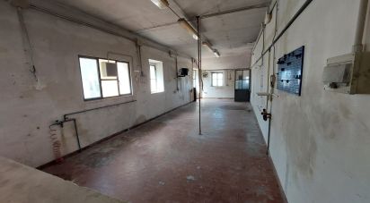 Casa indipendente 10 locali di 255 m² in Loreto (60025)