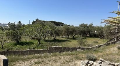 Casale 7 locali di 185 m² in Martina Franca (74015)