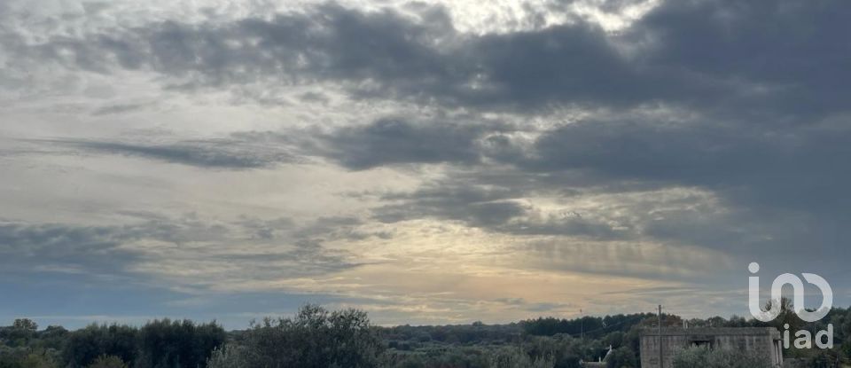 Horses property 0 rooms of 40 m² in Ceglie Messapica (72013)