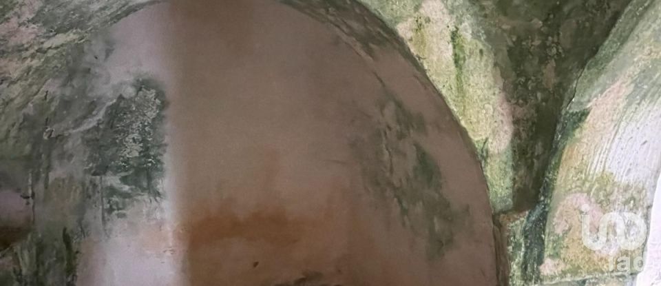 Horses property 0 rooms of 40 m² in Ceglie Messapica (72013)