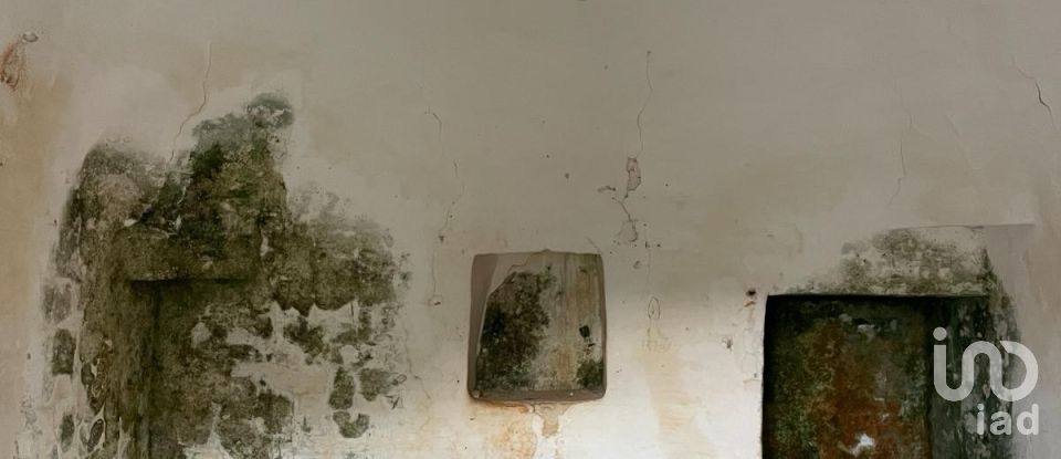 Horses property 0 rooms of 40 m² in Ceglie Messapica (72013)