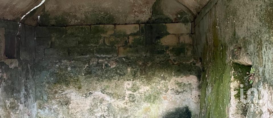 Horses property 0 rooms of 40 m² in Ceglie Messapica (72013)