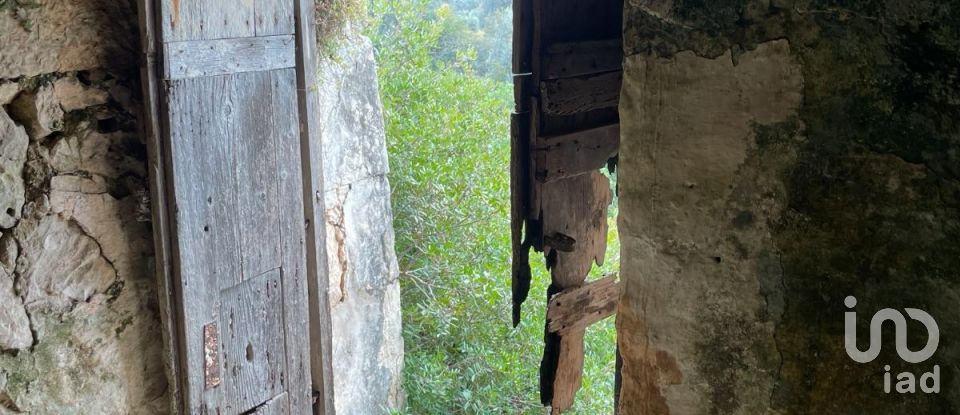 Horses property 0 rooms of 40 m² in Ceglie Messapica (72013)