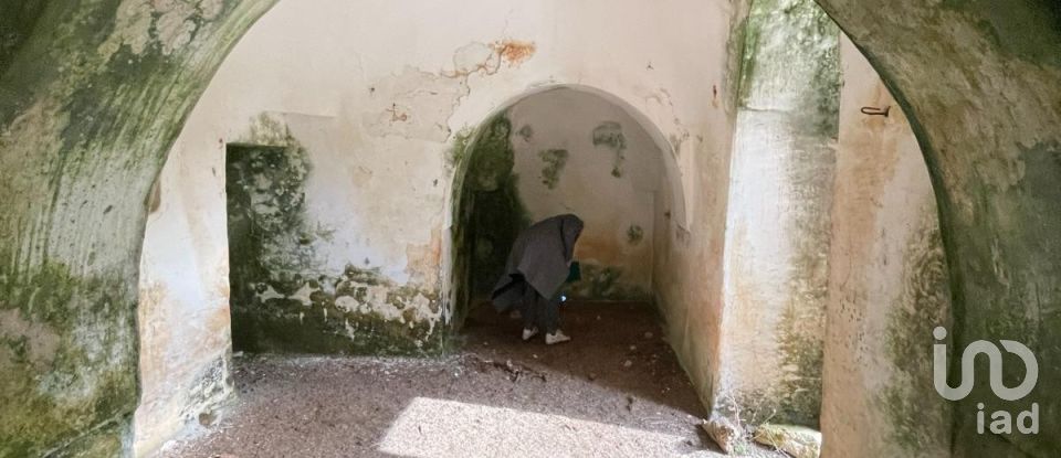 Horses property 0 rooms of 40 m² in Ceglie Messapica (72013)