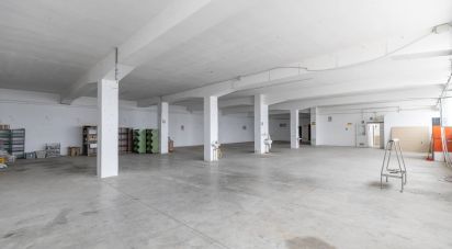 Warehouse of 750 m² in Montegranaro (63812)