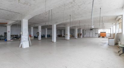 Warehouse of 750 m² in Montegranaro (63812)
