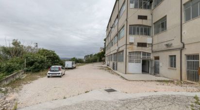 Capannone di 750 m² in Montegranaro (63812)