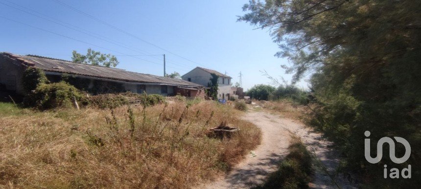 Varie superfici 0 locali di 320 m² in Treia (62010)