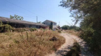 Varie superfici 0 locali di 320 m² in Treia (62010)