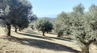 Terreno di 41.000 m² in Moscufo (65010)