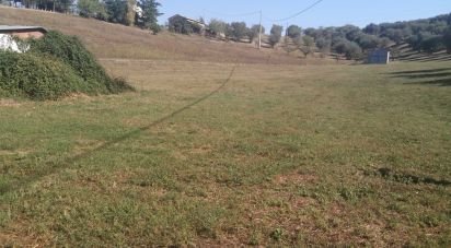 Terreno di 41.000 m² in Moscufo (65010)