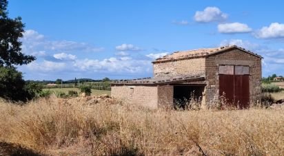 Terreno agricolo di 140.000 m² in Pitigliano (58017)