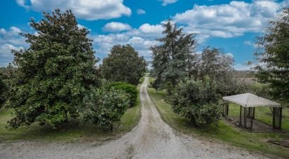 Casa indipendente / Villa 18 locali di 430 m² in Argenta (44011)