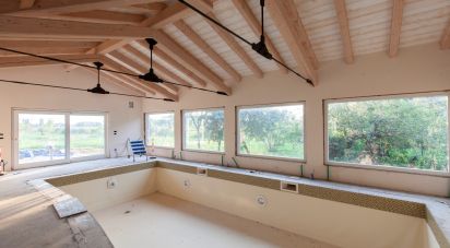 Casale 5 locali di 450 m² in San Donà di Piave (30027)