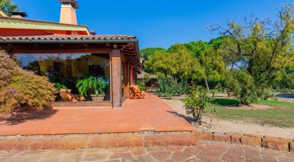 Casale 27 locali di 916 m² in Teolo (35037)