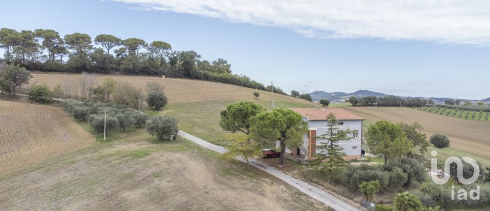 Casa indipendente / Villa 4 locali di 340 m² in Osimo (60027)