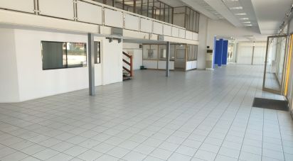 Other surface of 2,180 m² in Rovigo (45100)