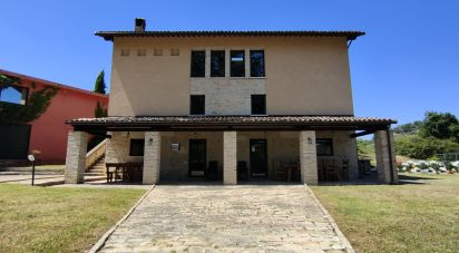 Casa indipendente 12 locali di 580 m² in Carassai (63063)