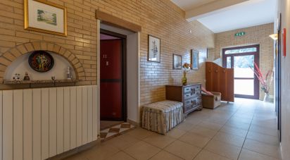 Appartamento 7 locali di 228 m² a Montottone (63843)