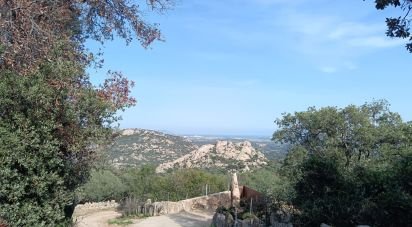 Land of 147,272 m² in Telti (07020)