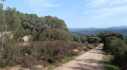 Land of 147,272 m² in Telti (07020)