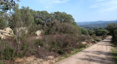 Land of 147,272 m² in Telti (07020)