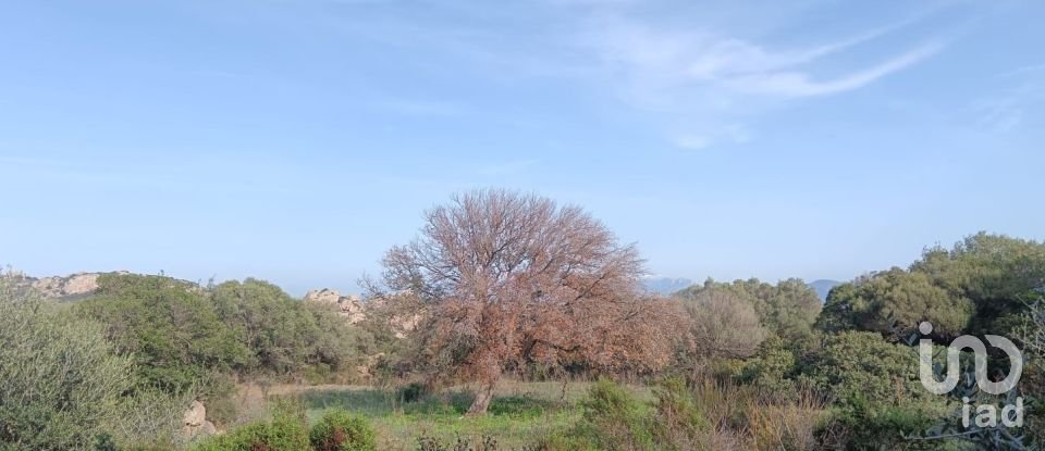 Terreno di 147.272 m² in Telti (07020)