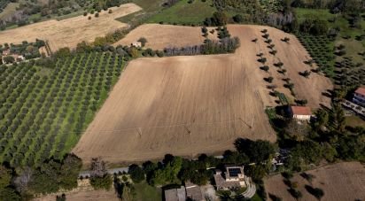 Land of 14,610 m² in Montecosaro (62010)