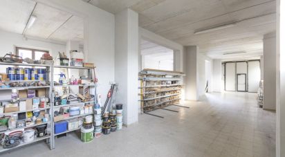 Capannone di 315 m² in Cingoli (62011)