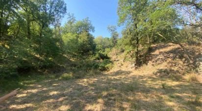 Terreno di 4.000 m² in Calice Ligure (17020)
