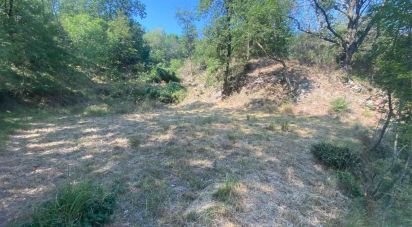 Terreno di 4.000 m² in Calice Ligure (17020)