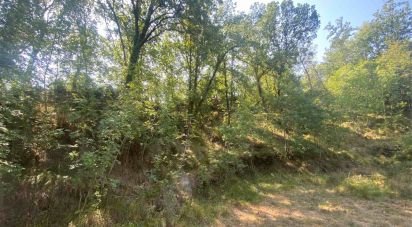 Terreno di 4.000 m² in Calice Ligure (17020)