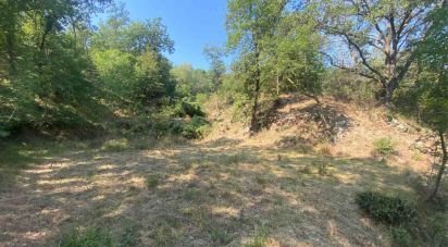 Terreno di 4.000 m² in Calice Ligure (17020)
