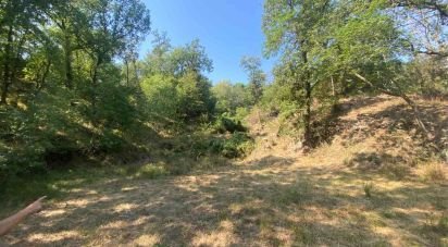 Terreno di 4.000 m² in Calice Ligure (17020)