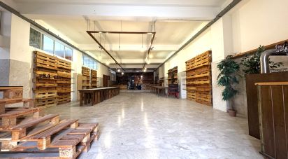Negozio / locale commerciale di 484 m² in Avola (96012)