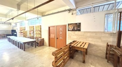 Negozio / locale commerciale di 484 m² in Avola (96012)