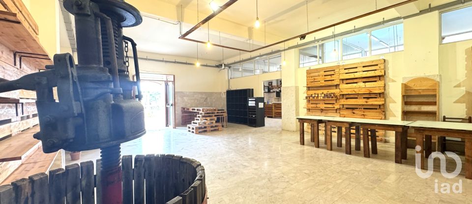 Negozio / locale commerciale di 484 m² in Avola (96012)