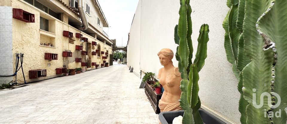 Negozio / locale commerciale di 484 m² in Avola (96012)