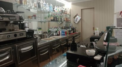 Bar di 140 m² in Mondolfo (61037)