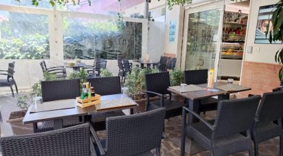 Bar di 140 m² in Mondolfo (61037)