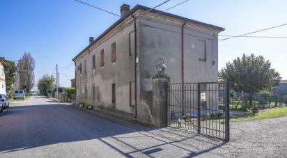 Casa indipendente / Villa 7 locali di 234 m² in Migliarino (44027)