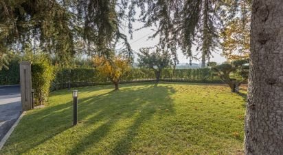 House 7 rooms of 240 m² in Petritoli (63848)