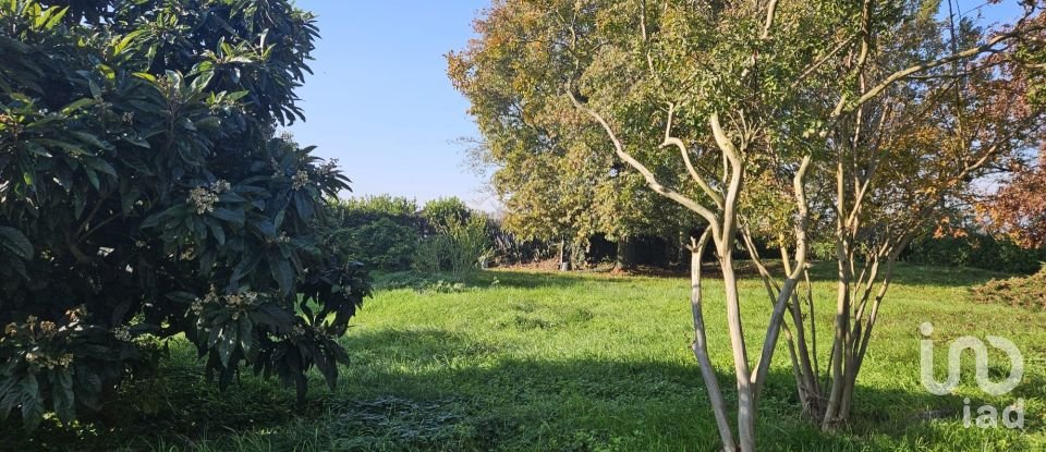 Casa indipendente 9 locali di 965 m² in Borghetto Lodigiano (26812)