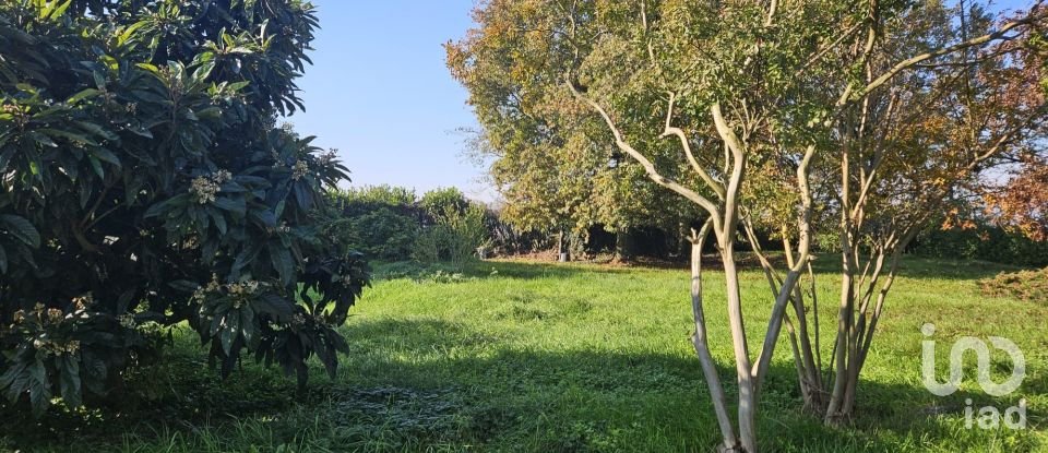 Casa indipendente 9 locali di 965 m² in Borghetto Lodigiano (26812)